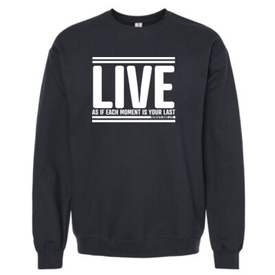 Softstyle Sweatshirt Thumbnail