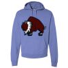 Unisex 7.2 oz., 80/20 Pullover Hood Sweatshirt Thumbnail